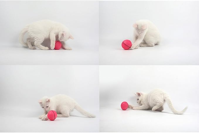 yofun interactive cat toy