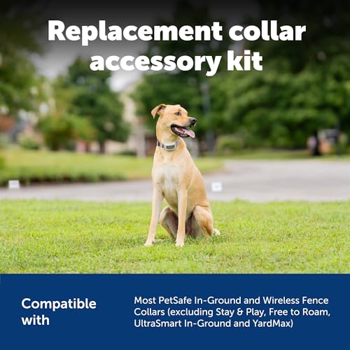 PetSafe Accessory Kit for Fencing Receiver Collars - Replacement Components for In-Ground & Wireless Dog Receiver Collars - Includes Contact Points, Clear Caps, Screws & Washers