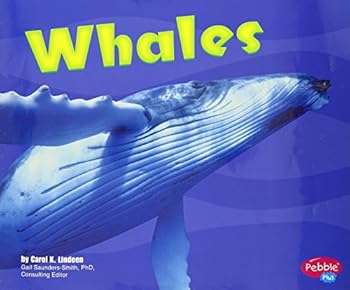 Paperback Whales [Scholastic] (Under the Sea) Book