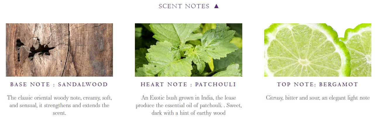 Fine Porcelain 150ml Reed Diffuser with Pack of 10 Natural Reeds, Made in Ireland (Patchouli Leaves & Sandalwood)