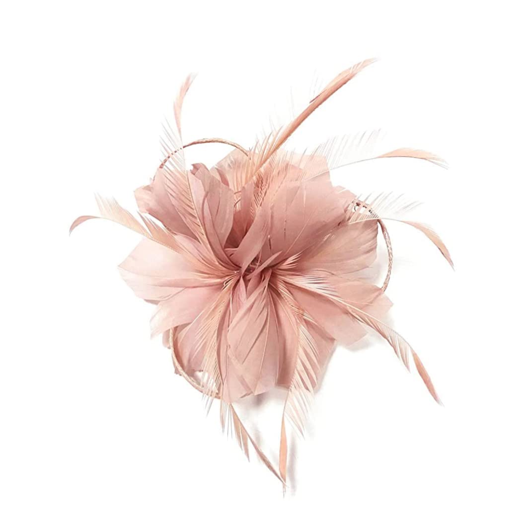 Nopeilvi Women's Pink Floral Fascinator Hat For Wedding, Church, Derby, Bridal Tea Party, Races Party