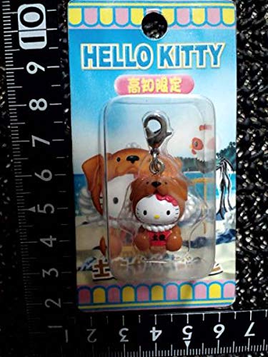 Amazon.co.jp: あら 笑 キティちゃんが高知で土佐犬に変身中