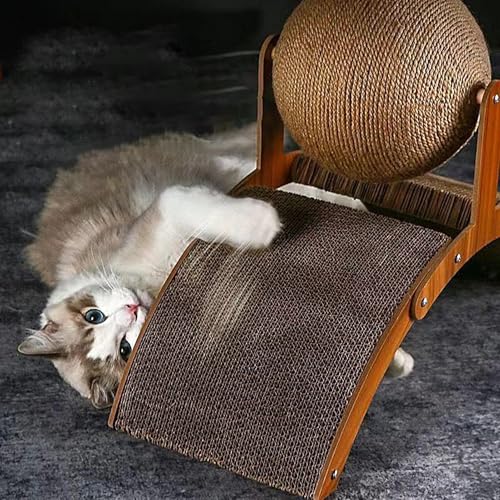 Grattoir interactif pour chats exercice et escalade de petite race - 5