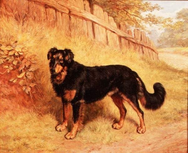 Peinture sur toile Border Collie oeuvre Frank Paton decoration scandinave 60x90