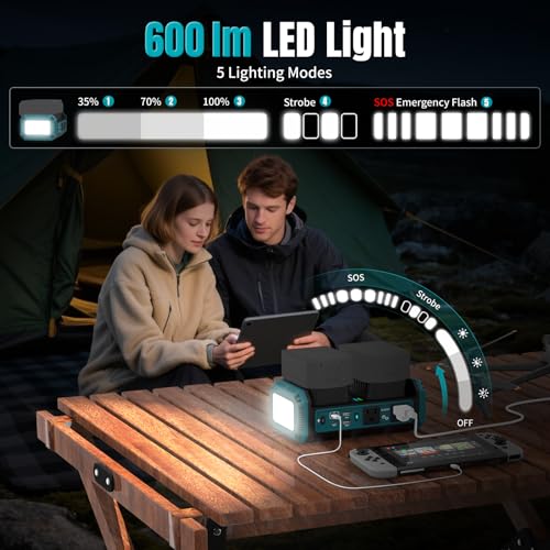 Portable Power Inverter Pure Sine