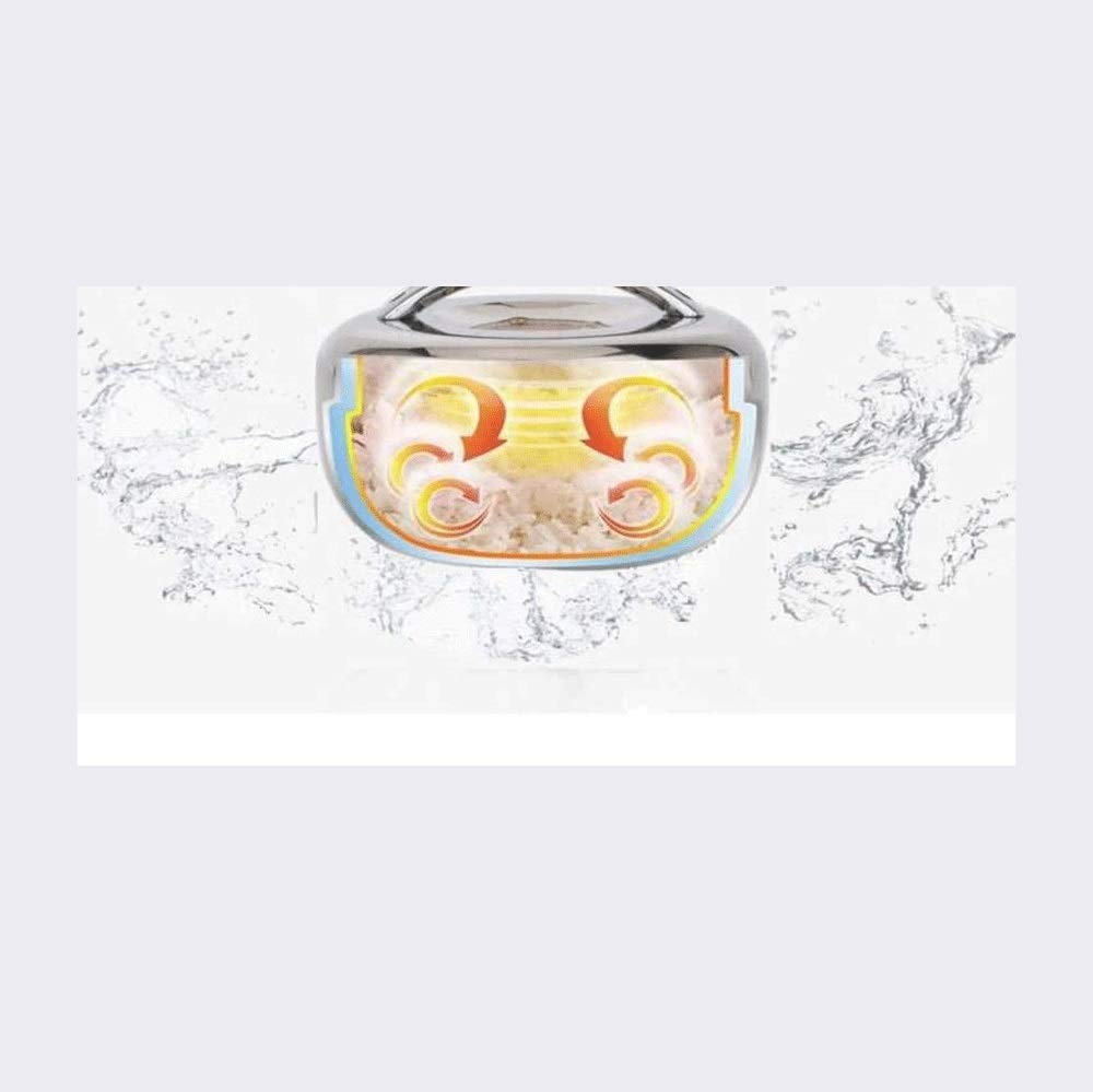 Fiambrera Caja Doble de la Capa de Almuerzo con Aislamiento térmico Contenedor de Acero Inoxidable de Acero Inoxidable (Lunch Box Capacity : 1300ML)