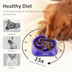 Slow Feeder Dog Bowls Large Breed, Dog Slow Feeder Bowl, Dog Food Bowls Slow Feeder, Dog Bowl Slow Feeder, Dog Bowl That Slow Down Eating(Purple)