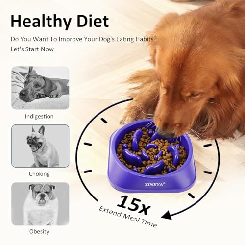 Slow Feeder Dog Bowls Large Breed, Dog Slow Feeder Bowl, Dog Food Bowls Slow Feeder, Dog Bowl Slow Feeder, Dog Bowl That Slow Down Eating(Purple) Slow Feeder Dog Bowls Large Breed, Dog Slow Feeder Bowl, Dog Food Bowls Slow Feeder, Dog Bowl Slow Feeder, Dog Bowl That Slow Down Eating(Purple)