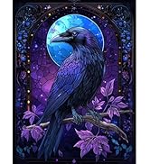 NEWENMO 5D Diamond Painting Bücherregal 30x40cm - Vollstein Set Für Erwachsene Zur Dekoration