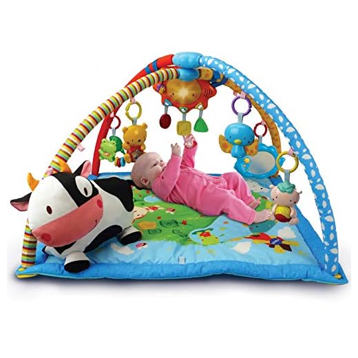 VTech Mantita de juego cantarín 2 en 1, manta y gimnasio de aprendizaje para bebé con más de 40 canciones, frases y melodías, panel extraíble, multicolor (80-146422)