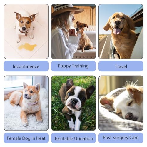 Image of Paw Legend Washable Reusable Female Dog Period Diapers for Heat Doggie Puppy Diapers for Female Dogs (3 Pack, Small)