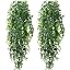 Green Eucalyptus