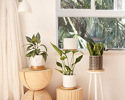 Dsben Bamboo Plant Saucer, Durable Plant Tray For Indoors And Suitable For 6-7 Inch Plant Pots, Set Of 2 #TOP6