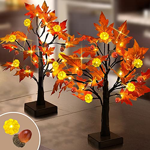 TURNMEON 2 Pack 22 Inch Lighted Tabletop Fall Maple Tree 48 LEDs Timer Battery Operated Lighted Pumpkins 6 Acorn Fall Thanksgiving Decorations Artificial Tree Fireplace Halloween Decor(Warm White) TURNMEON 2 Pack 22 Inch Lighted Tabletop Fall Maple Tree 48 LEDs Timer Battery Operated Lighted Pumpkins 6 Acorn Fall Thanksgiving Decorations Artificial Tree Fireplace Halloween Decor(Warm White)