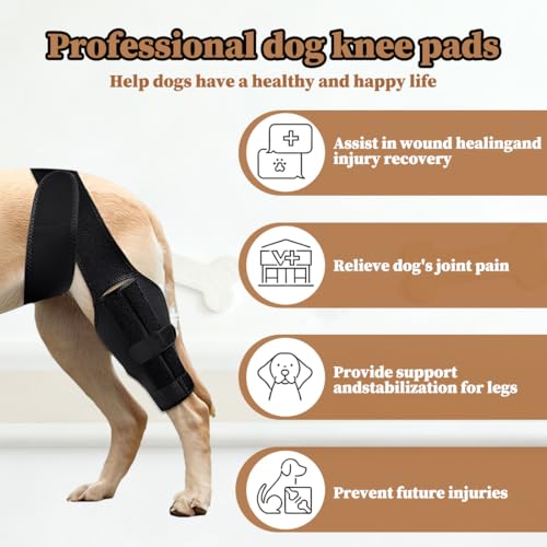 YUVKIN 1 Pcs Knieschützer für Hunde, Stütze für Hinterbeine von Hunden, aus Neopren, geeignet für Kreuzbandrisse, Bänderverletzungen, Patellaluxation oder Osteoarthritis (Größe XL)