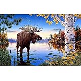 DIY 5D Diamond Painting by Number Kits, Full Drill Crystal Rhinestone Embroidery Pictures Arts Craft...