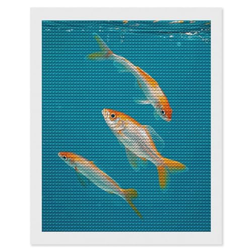 Peinture diamant poisson transparent BVNMT, cadeau créatif idéal