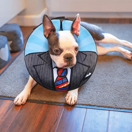 Image of BEAUTYZOO Dog Cone Alternative After Surgery for Large Medium Small Dogs, Soft Inflatable Cone Collar for Dogs Cats, Pet Neck Donut E Collar Dog Recovery Collars to Stop Licking, Black Suit, S
