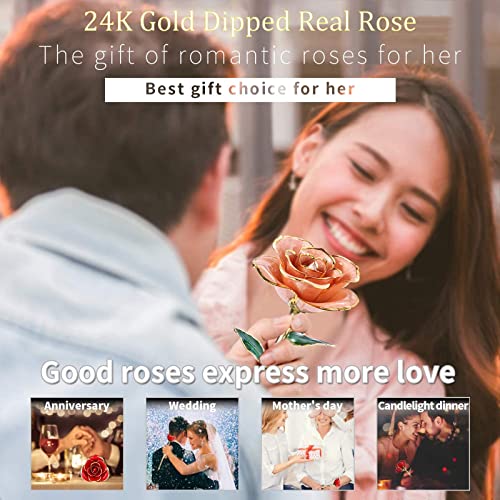 Image of 24K Gold Rose, Gold Dipped Rose Made from Real Rose Best Gifts for her and Great Gifts for Wife, Pink with Stand