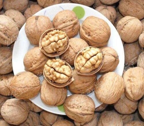 FreshoCartz California Walnuts with Shell | Whole Inshell Walnuts | Sabut Akhrot | Whole Dry Fruit Walnuts (250gm)