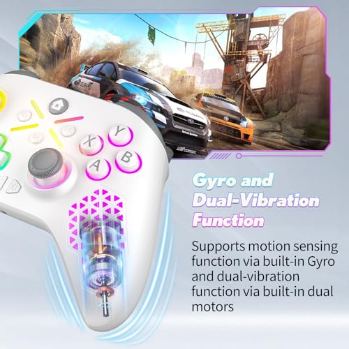 Image of Dinosoo 10ft Wired RGB Controller for X-box One Series X|S & PC, Turbo, Macro Function, 4 Vibration Motors, 3.5mm Audio Jack - Black White