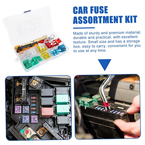 Alipis 1set Kit surtido de fusibles automotrices para RV, camión, motocicleta y bote, incluye extractor y tester miniatura 6