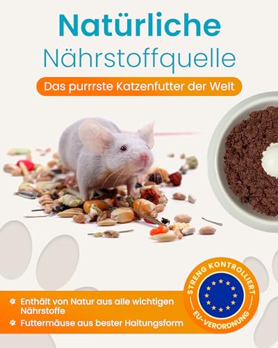 Lucky Kitty Katzenfutter Nass 100% Maus I Beutenahes Katzenfutter ohne Getreide & Zucker I Nassfutter für Katzen & Kitten I Ohne Zusätze, alle Nährstoffe natürlich enthalten I Made in Germany I 4x100g
