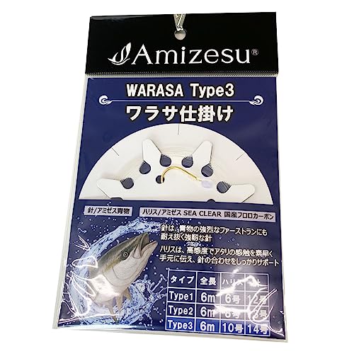 Amizesu Td| 6m Type3 j14 nX10(ami-911671)