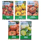 plant de tomate ancienne bio Variétés Anciennes : Retrouvez le vrai goût du terroir avec des semences sélectionnées pour leur résistance et leurs qualités gustatives.