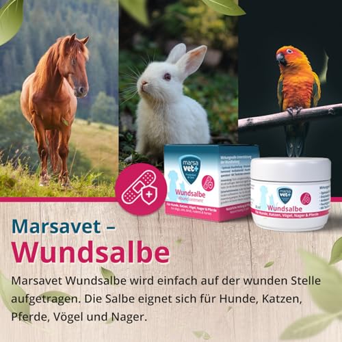 marsavet+ 30ml Wundsalbe für Hunde, Katzen, Vögel, Nagetiere, Pferde und mehr. Zink, Propolis, Hyaluron und D-Panthenol - fördert die Heilung und verhindert Hautentzündungen. Premium-Qualität.