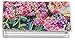 Watercolor Floral Vinyl Checkbook Cover