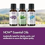 NOW Essential Oils, Peppermint Oil, Invigorating Aromatherapy Scent, Steam Distilled, 100% Pure, Vegan, Child Resistant Cap, 1-Ounce - Image 5