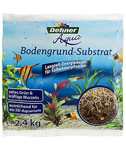 Dehner Aquarium Pflanzen Die 15 besten Produkte im Vergleich