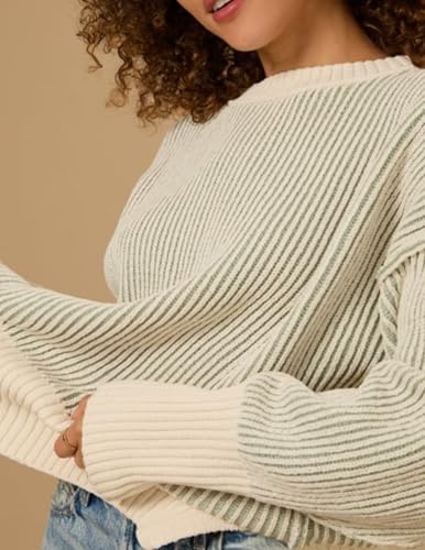 Image of Zeagoo Women 2026 Fall Lightweight Oversized Sweater Crew Neck Long Sleeve Color Block Pullover Rib Knit Blouse Tops XS-2XL