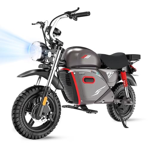 Flydone Y18 4000W Electric Dirt Bike