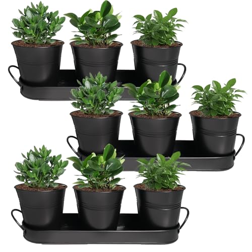 TANEMUDO 3 Sets Herb Planter Black Metal Window Planter with