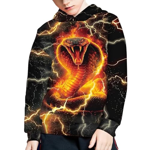 Image of WELLFLYHOM Boys Hooded Sweatshirts Hoodie Pullover Cool Graphic Crewneck Blouses Size 6-16