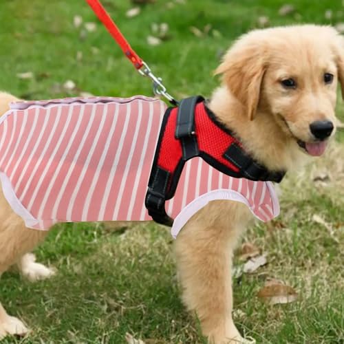 Dokeno Hundebody Nach Op - Anti-Lecken Onesie für Hunde und Katzen - Erholungsanzug Alternative zum E-Halsband (S)