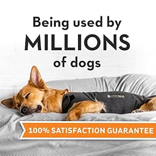 ThunderShirt for Dogs, Large, Heather Gray Classic - Dog Anxiety Relief Calming Vest