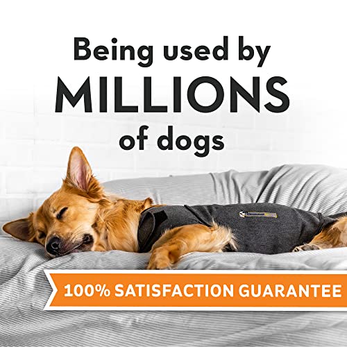 Thundershirt For Dogs, Xx Large, Heather Gray Classic - Dog Anxiety Vest #TOP1