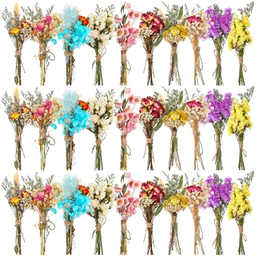 Mini ramilletes flores secas Olvídame 30 piezas