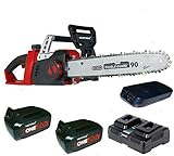 Der robuste Krallenanschlag aus Metall und die Ölstandsanzeige runden das Angebot ab.inkl. Schwertschutz mit Akkus und Doppel Ladegerät