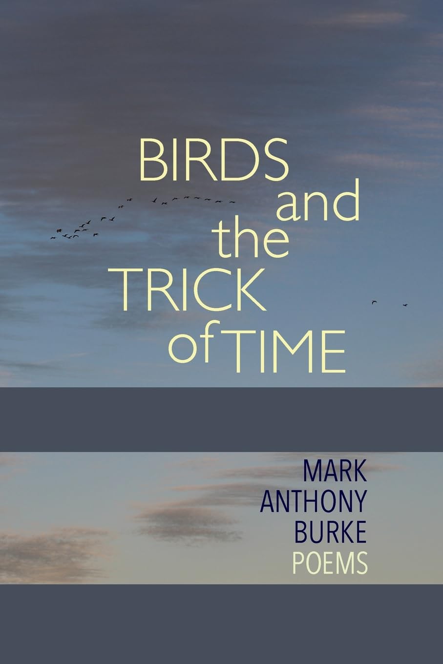 Birds and the Trick of Time: Poems