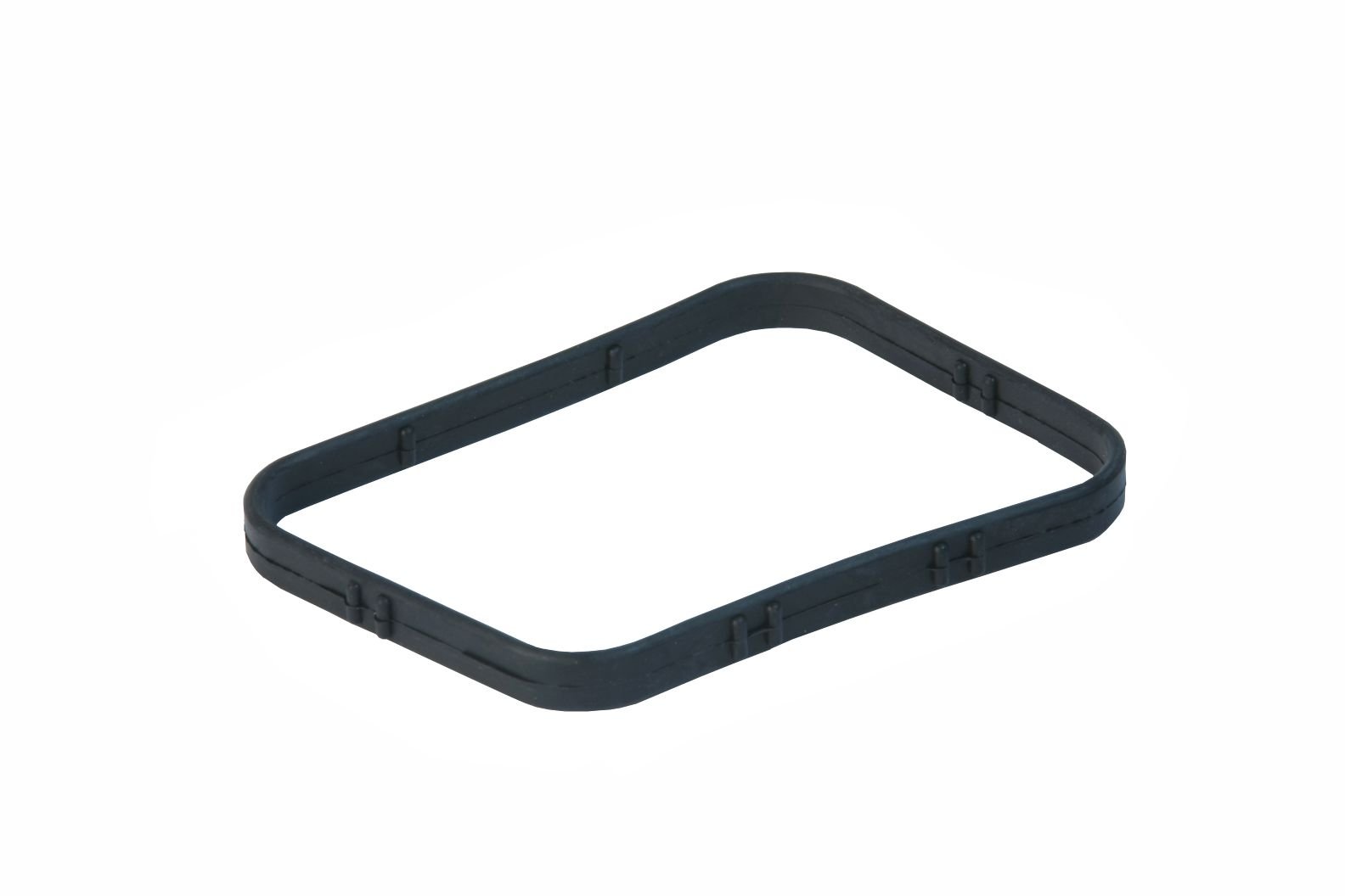 Amazon.com: URO Parts C2S11282 Thermostat Gasket, Thermostat 