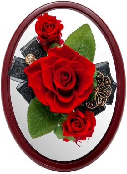 [Delivery time 2 Weeks] Oval Dome Red