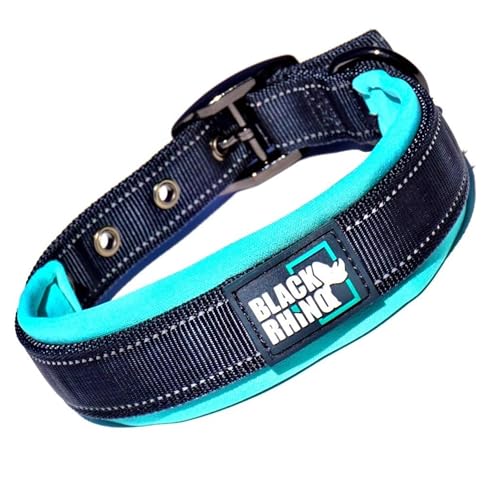 Black Rhino - Das Comfort Halsband Super Weiches Neopren Gepostertes Hundehalsband für alle Hunderassen - Hochbeanspruchbar Verstellbar Reflektierend Wetterfest (Mittel, Aqua/Grau)
