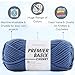 Premier Yarns Basix Chunky Knitting Yarn Denim 1145-34 (3-Pack) Same Dye Lot Chunky Bulky #5 Soft 100% Acrylic with Project Bag