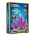Bandai - National Geographic - Kit de cristal à faire pousser - Cristal violet - Jeu scientifique et éducatif - STEM - JM00632