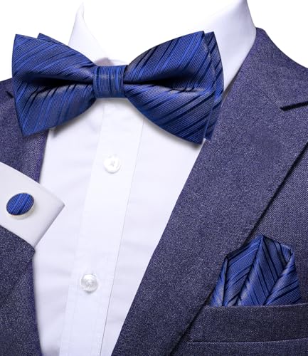 Image of Dubulle Mens Paisley Striped Bowtie Set Pre-tied Bowtie for Men and Pocket Square Set Wedding Business