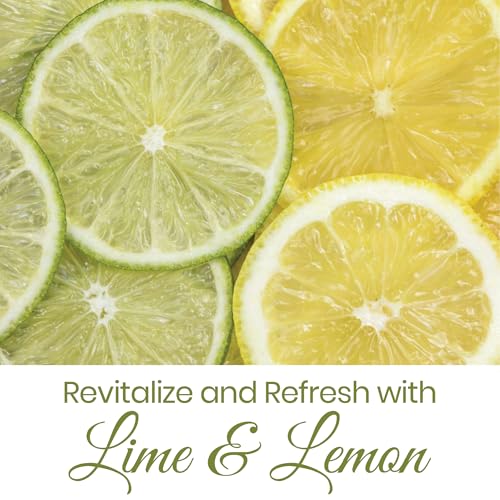 Image of Raissa Combo Pack Bath Soap - 85g (Pack of 12) | Includes Vrinda Tulsi, Haldi Chandan, Sandal Raja & Lime Lemon Soaps | Herbal & Refreshing | Skin-Friendly, Moisturizing & Gentle | Daily Use for All